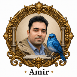 Portrait of Amir Abolhasani
